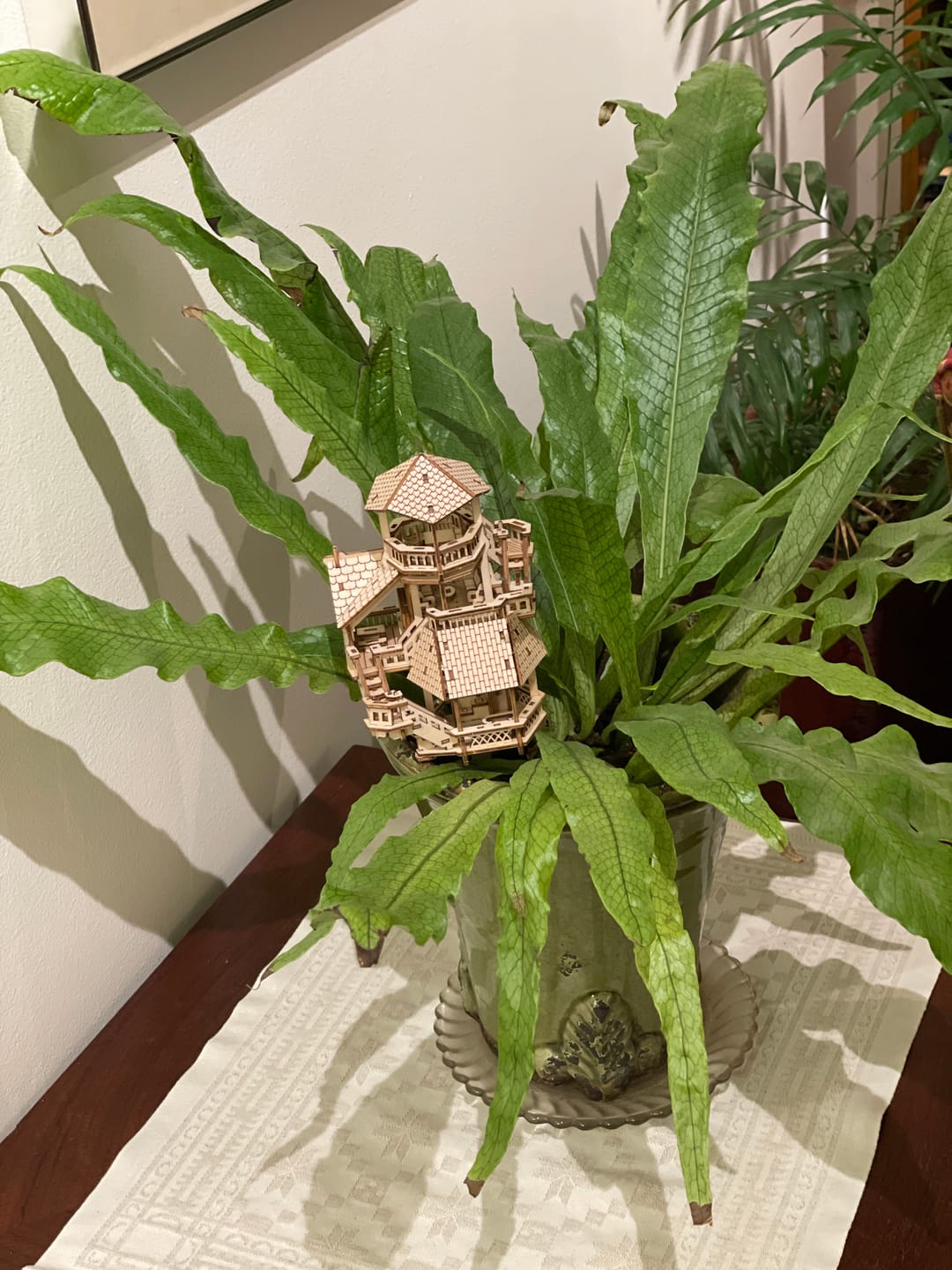 Customer photo review of Forest Cottage