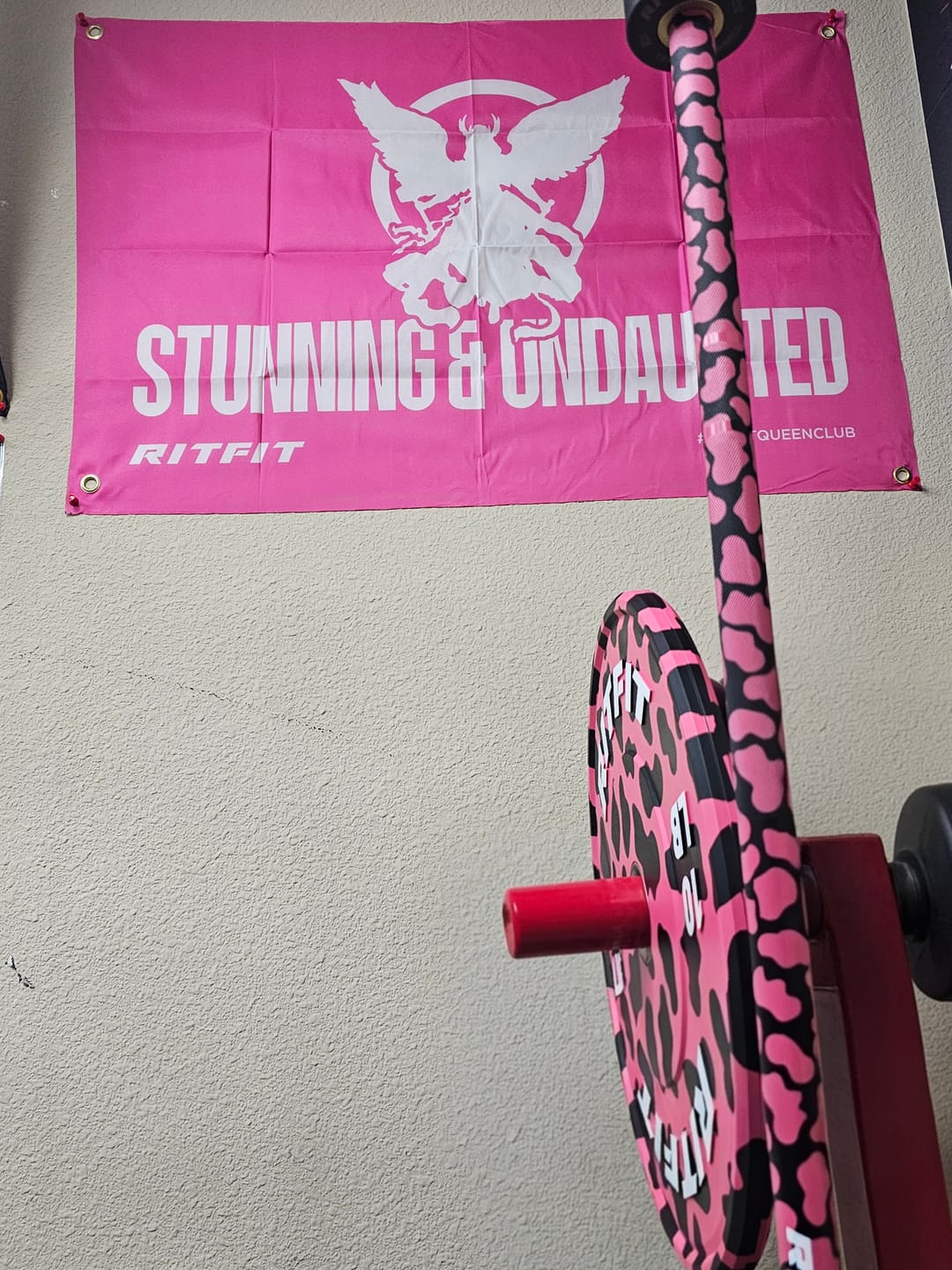 Customer photo review of RitFit Pink leopard print bumper plates Olympic 2-Inch Rubber