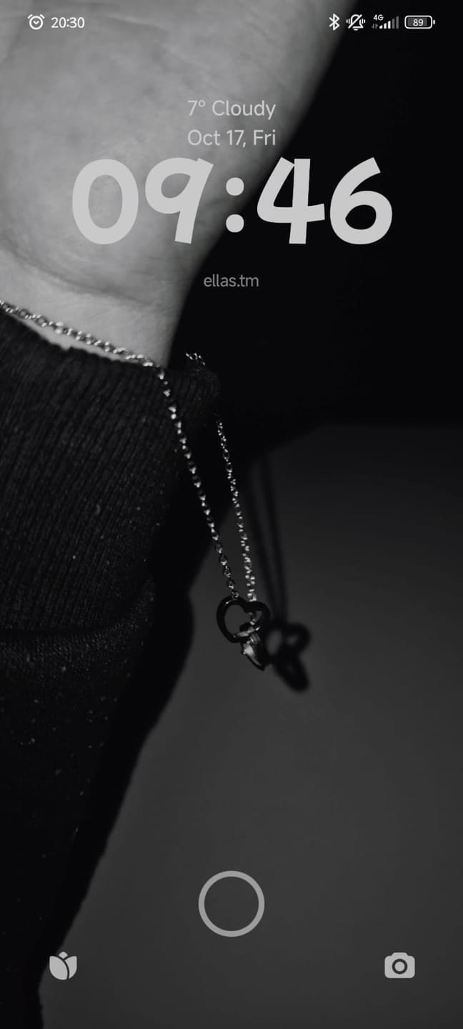 Customer photo review of Double Heart Necklace