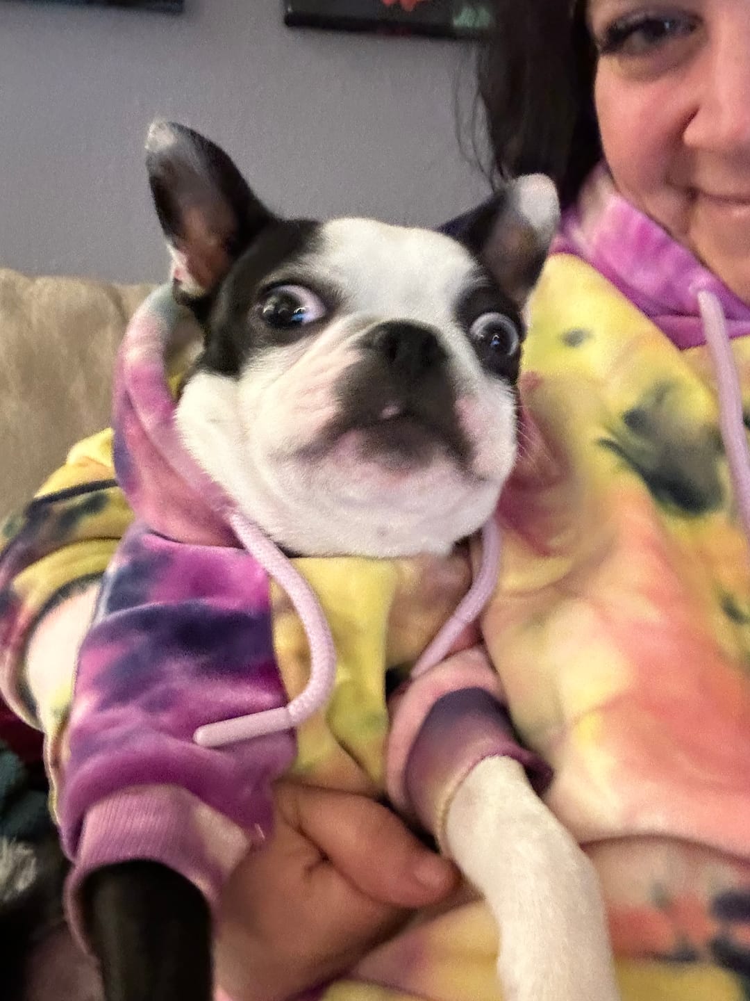 Customer photo review of Velvet Human Hoodie - Berry Lemonade