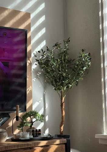 Customer photo review of Kunst Olijfboom 100cm