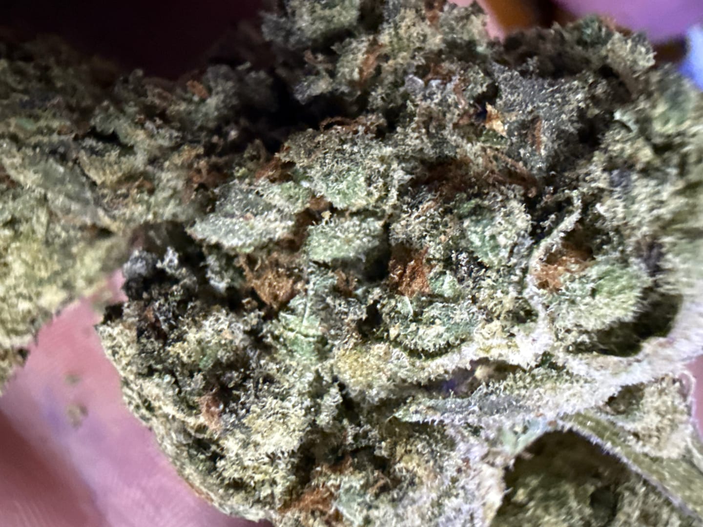 Customer photo review of Pineapple Express