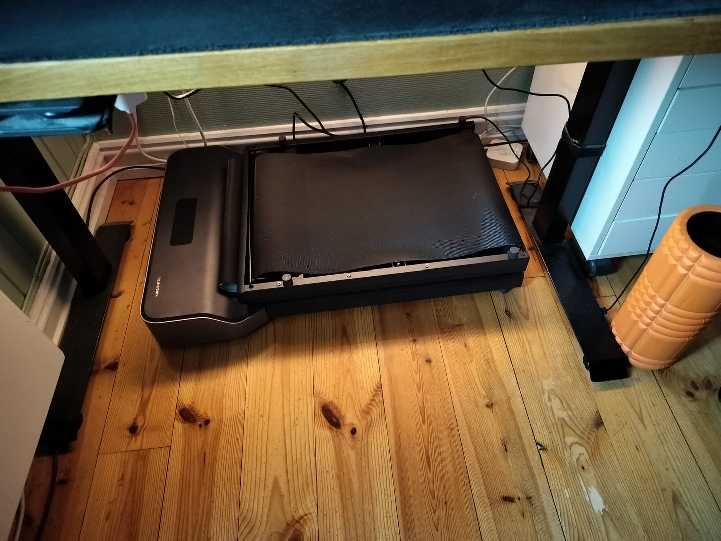 Customer photo review of WalkingPad Z1