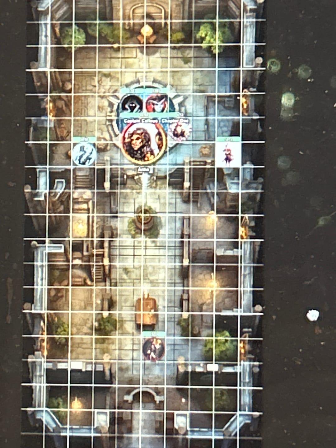 Customer photo review of The Ultimate Maps Bundle - 15,000 Designs