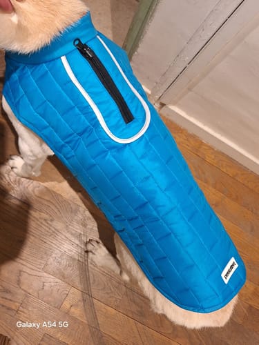 Customer photo review of Emmalove - Wasserdichte Hundeweste
