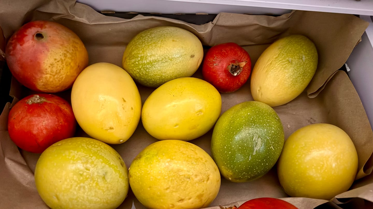 Customer photo review of Mango & Granatapfel Retterbox %