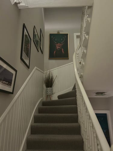 Customer photo review of Highland Stag Print