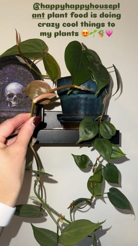 Kaely F. review of Plant Food image 1 out of 1