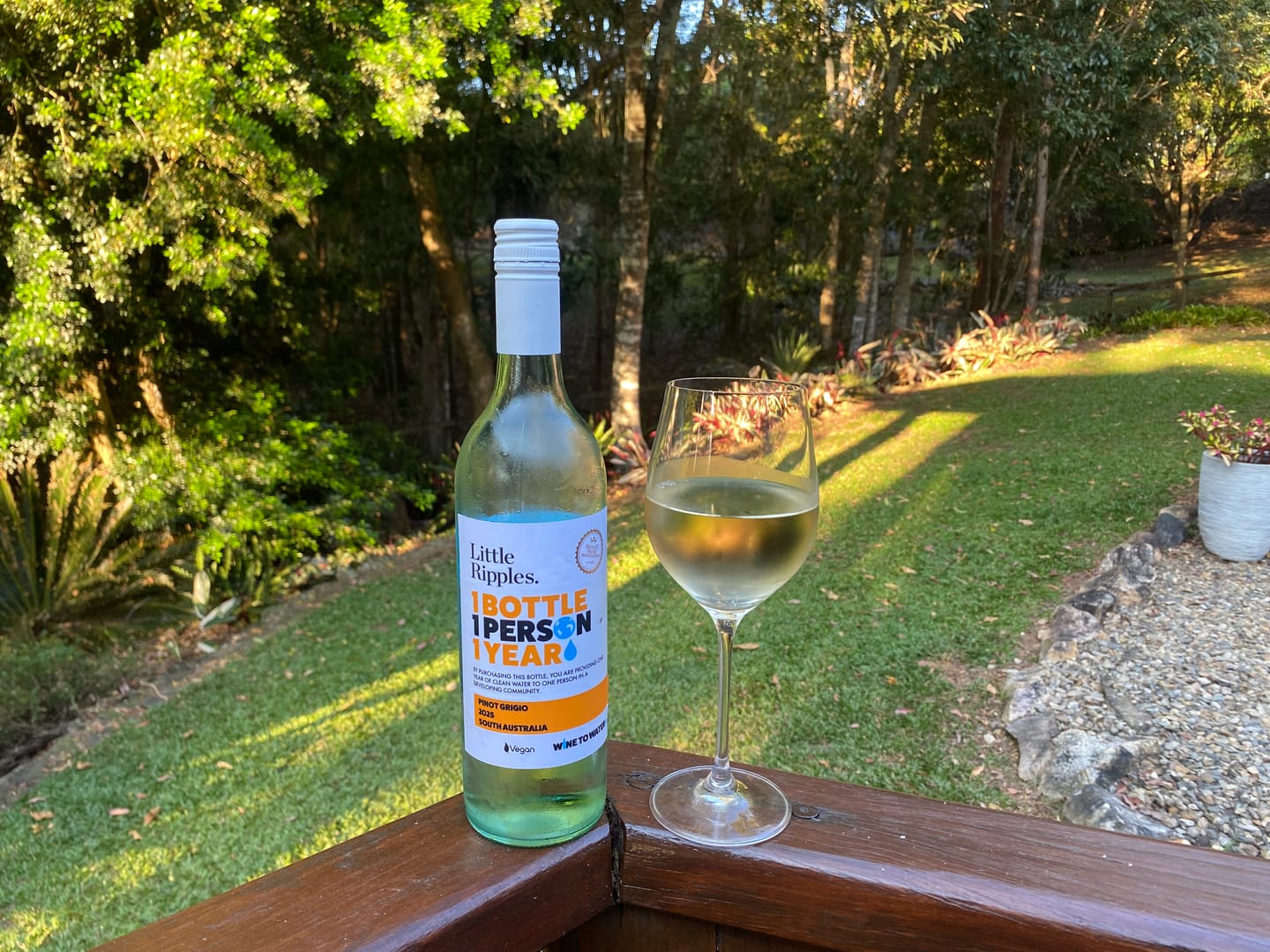 Customer photo review of Pinot Grigio - Single Bottle