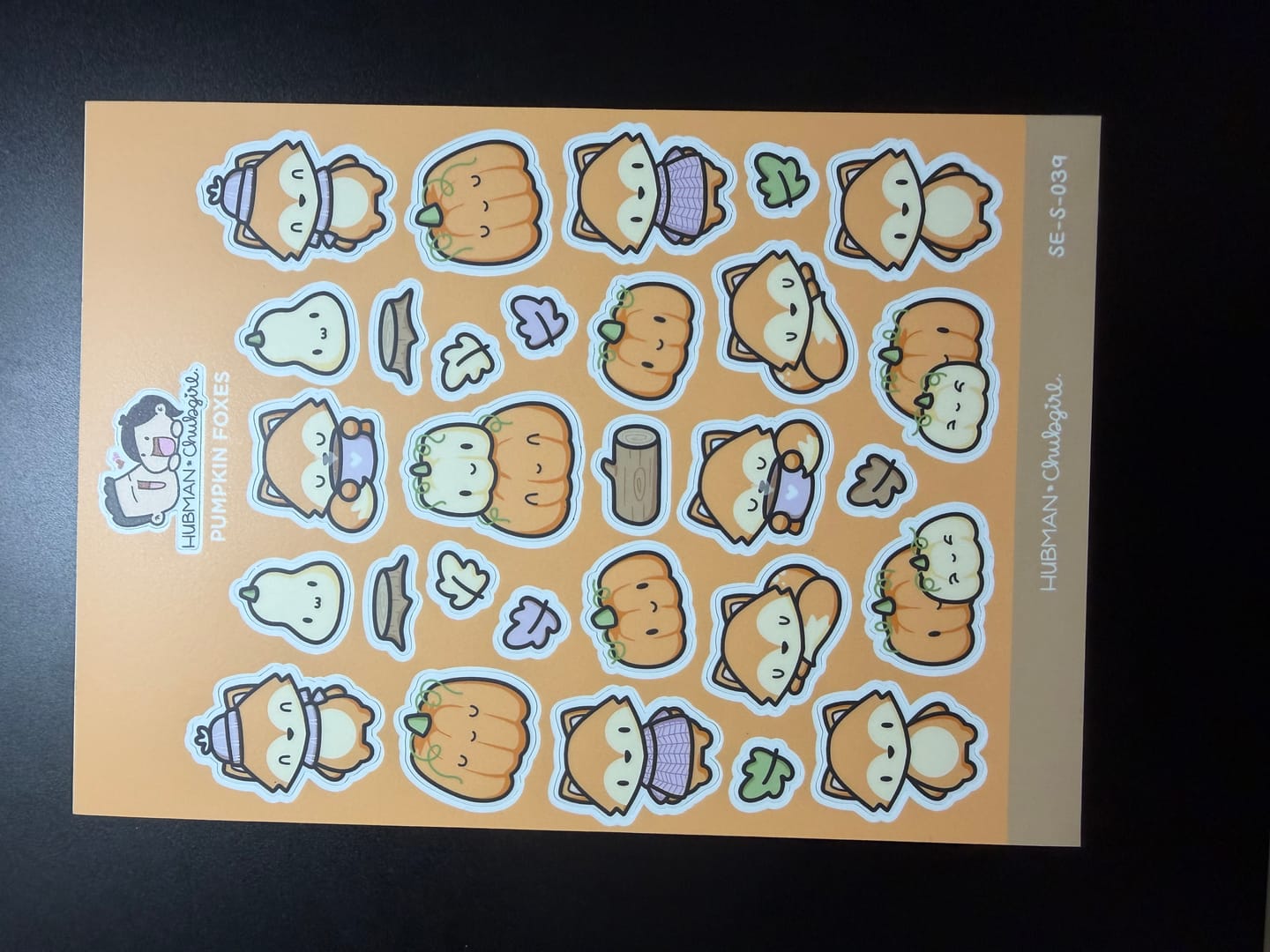 Customer photo review of Pumpkin Fox Sticker Sheet