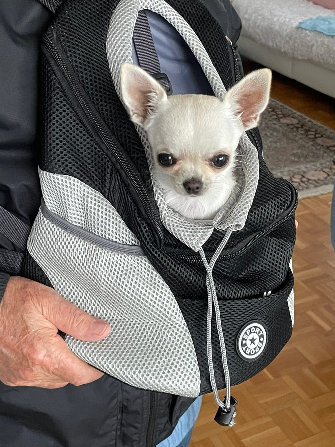 Customer photo review of Foxypets Hunderucksack