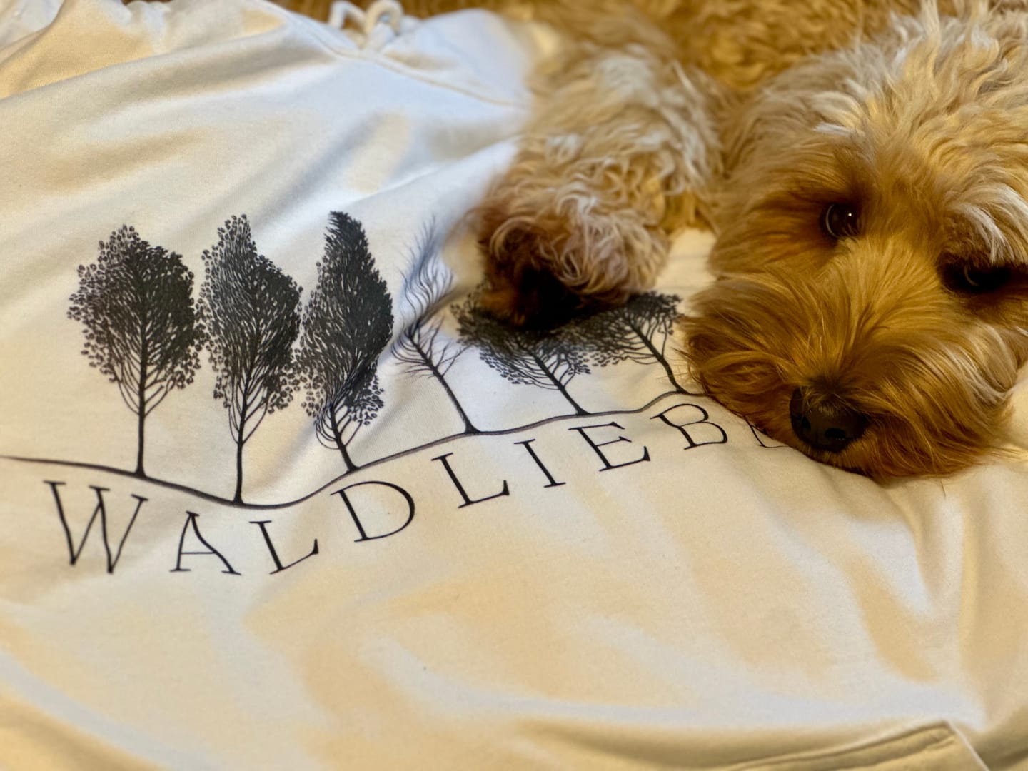 Customer photo review of Waldliebe｜Hoodie