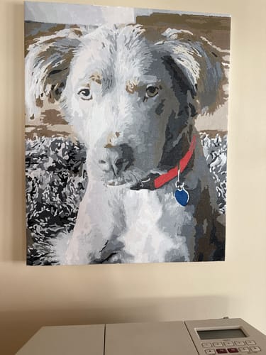 Customer photo review of Brush Holder (White)