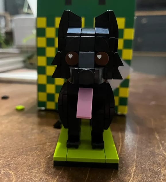 Customer photo review of Custom Brick Figures