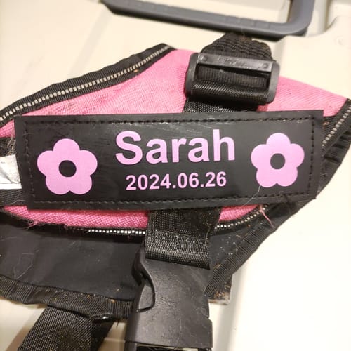 Customer photo review of ハーネス専用お名前タグ（２枚セット・マジックテープ式）