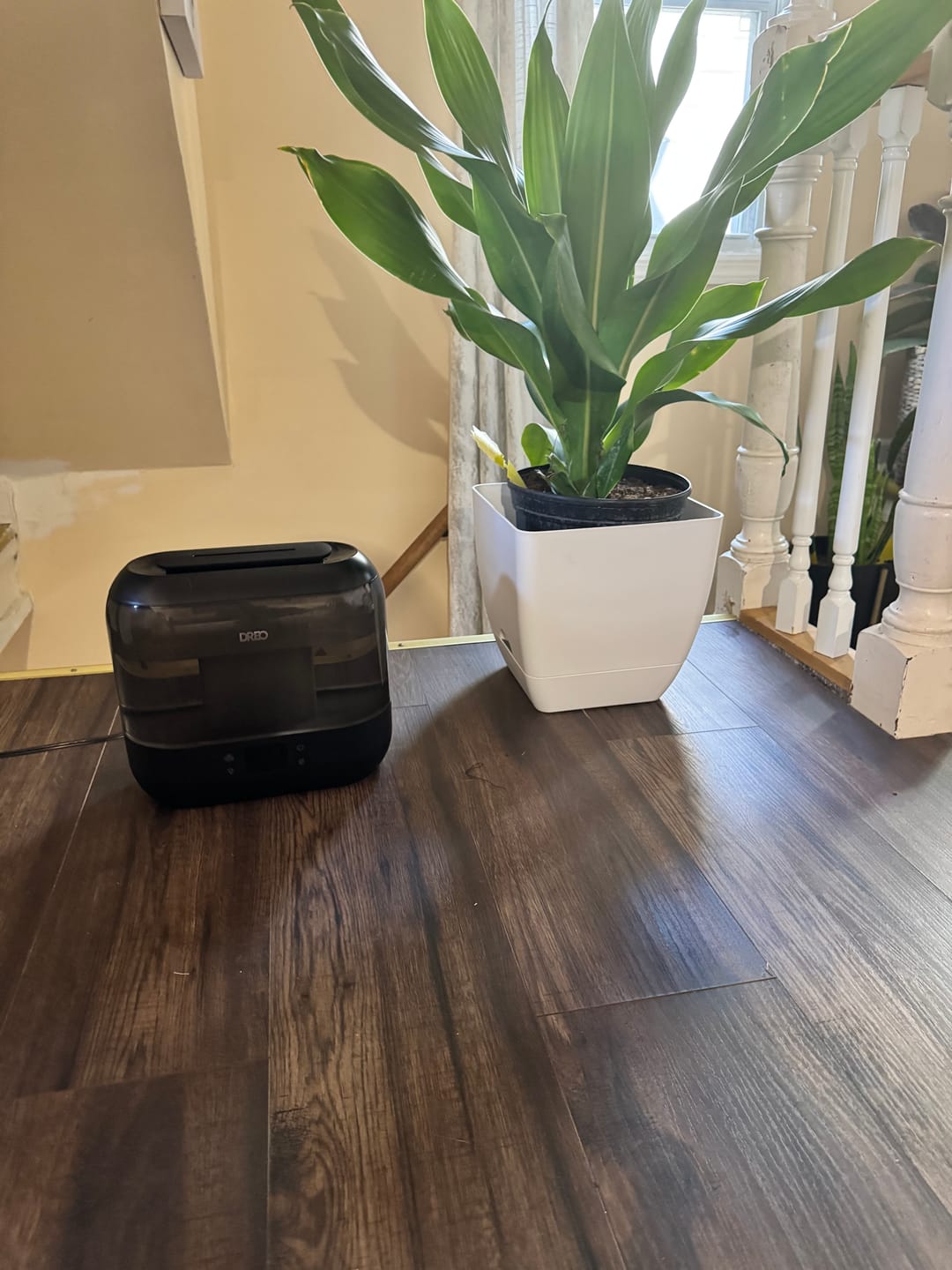 Customer photo review of Smart Humidifier 311S 4L