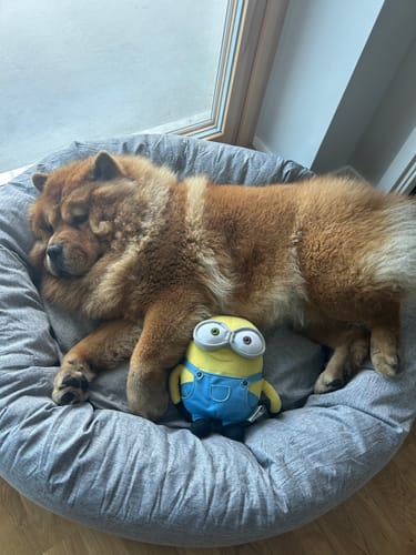 Customer photo review of CalmBed - Motverkar stress & hjälper mot ångest