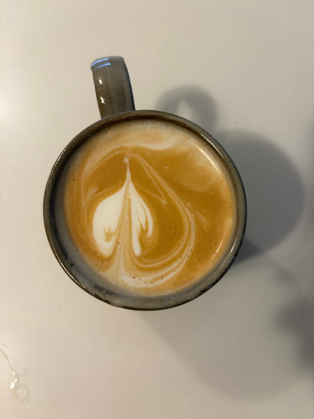Customer photo review of BUNDLE Blends Coffee Beans 1kg