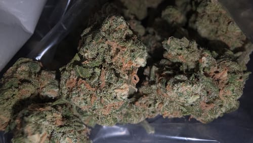 Customer photo review of Blue Dream
