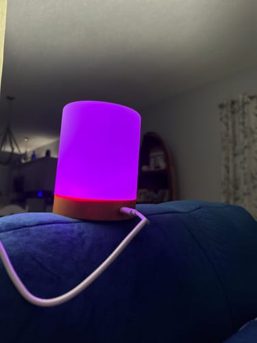Customer photo review of Friendship Lamp