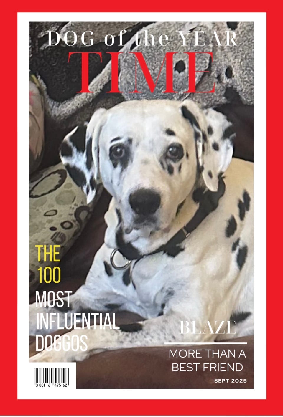 Customer photo review of Pet Portrait Magazine Cover