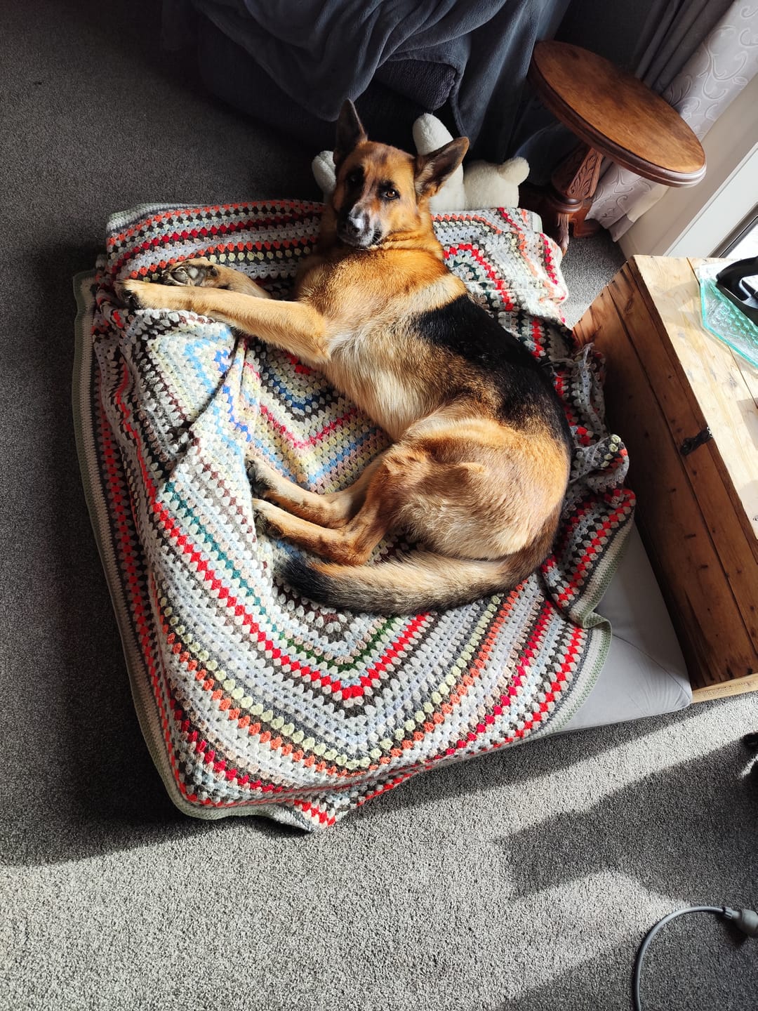 Customer photo review of Orthopaedic Memory Foam Bed