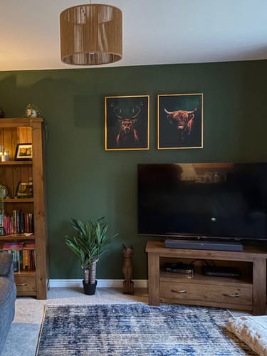 Customer photo review of Highlands Set of 2 Prints