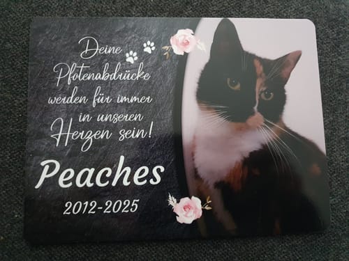 Customer photo review of Katzen Gedenktafel mit Foto & Spruch (UV- & Wetterfest)