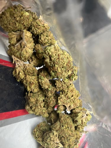 Customer photo review of Fresh Lows Lounge