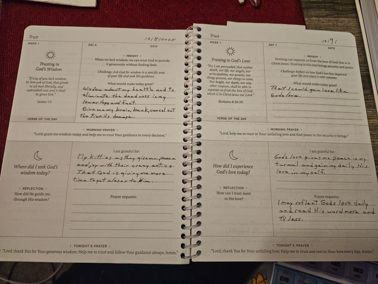 Customer photo review of Anchored In His Word: A 90 Day Devotional