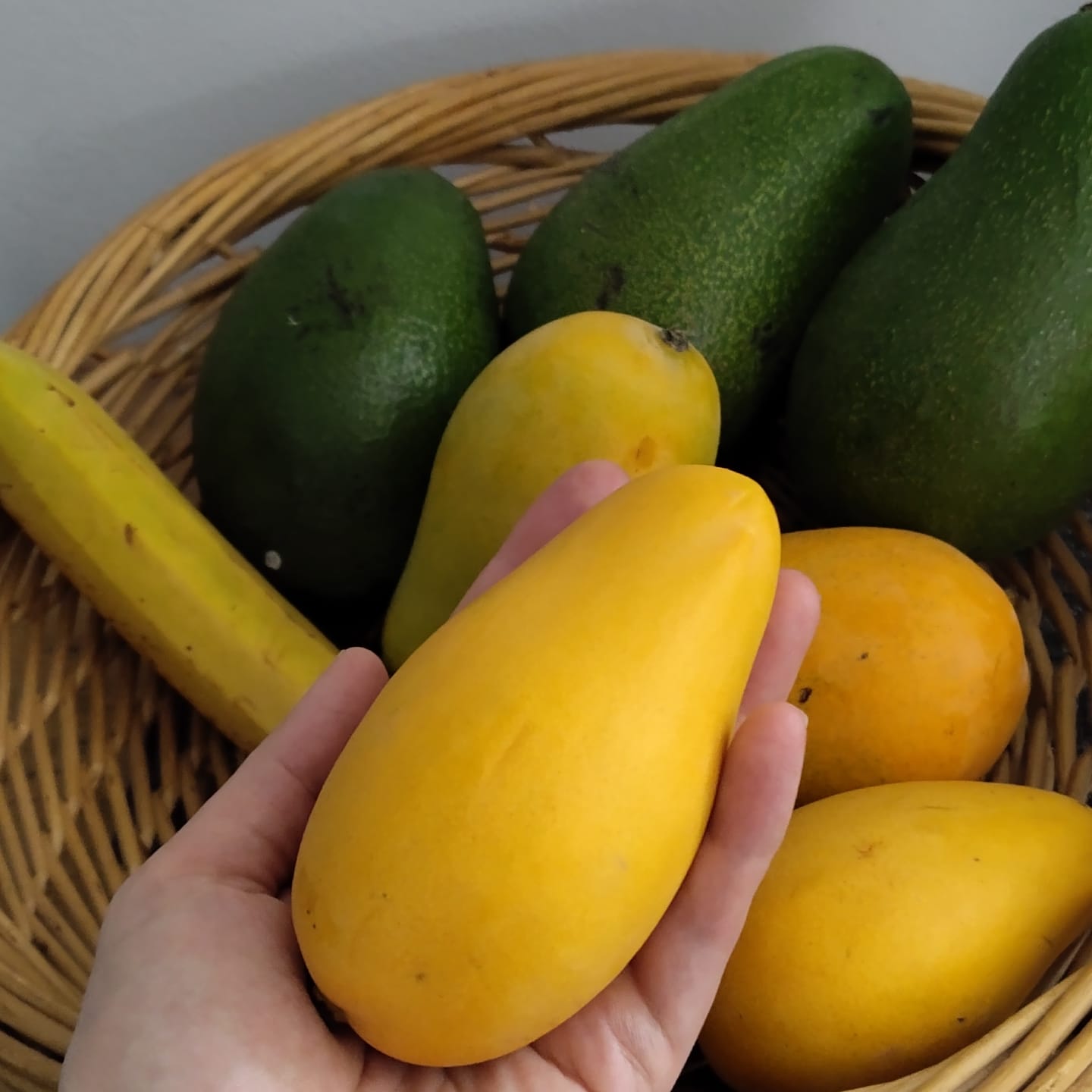 Customer photo review of Mango Honig „Ataulfo“ Bio von Joe Roman