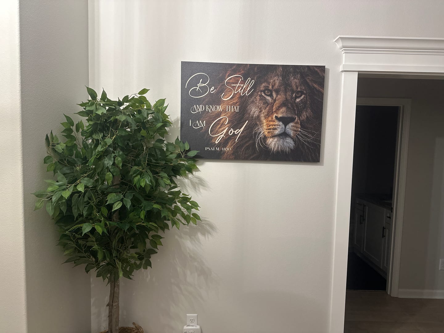 Customer photo review of Be Still And Know That I Am God, Lion Of Judah, Christian Wall Art Canvas