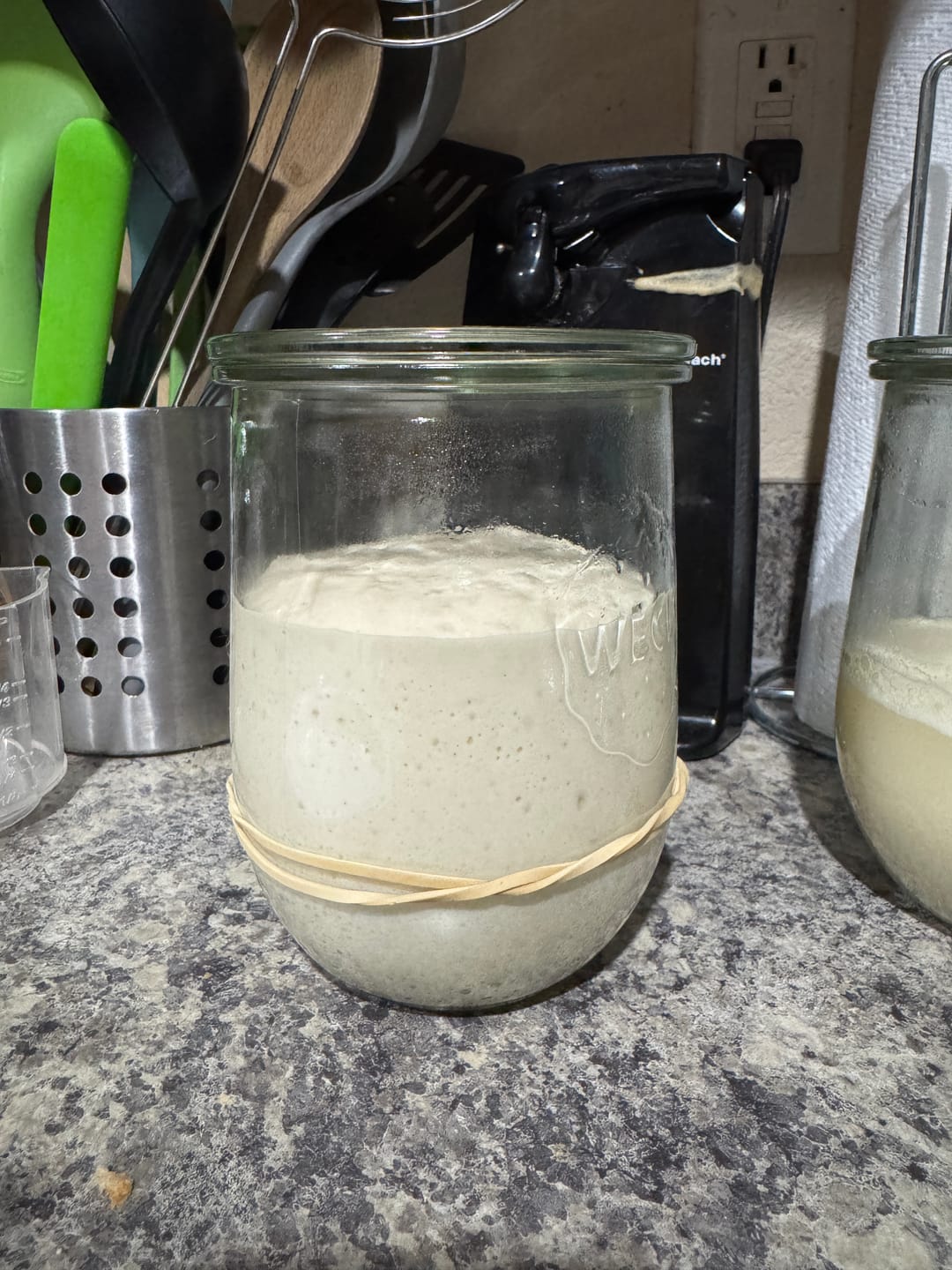 Customer photo review of Sourdough Starter Survival Guide | A Clear, Beginner-Friendly System for Feeding & Maintaining a Healthy Starter