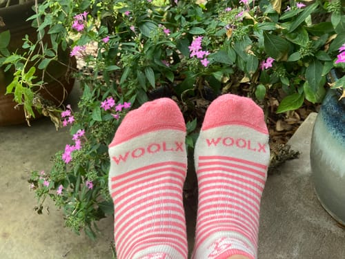 Customer photo review of Womens Amelia No Show Socks • Final Sale - Bubblegum