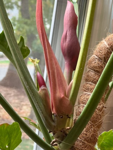 Wendy S. review of Soil Refresh image 1 out of 1