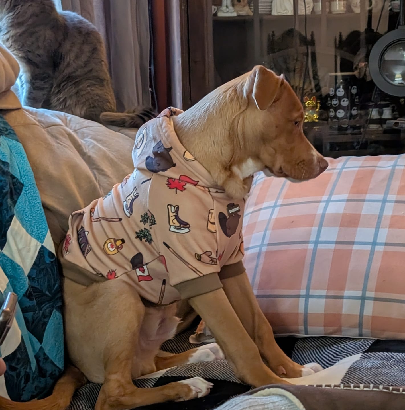 Customer photo review of Canada Dog Hoodie