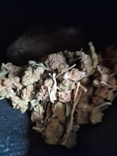 Customer photo review of THCA Flower Budget Buds