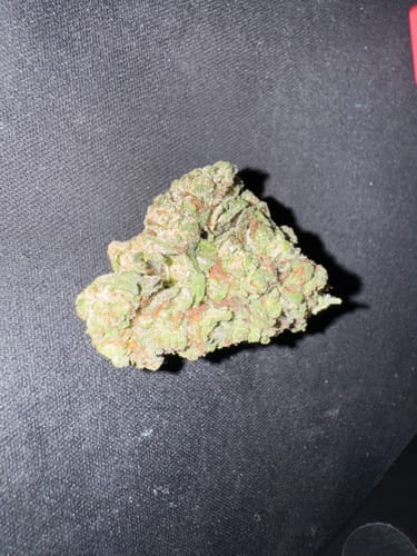 Customer photo review of Gold Spectrum THCA Flower - Top Quality Strain of the Month