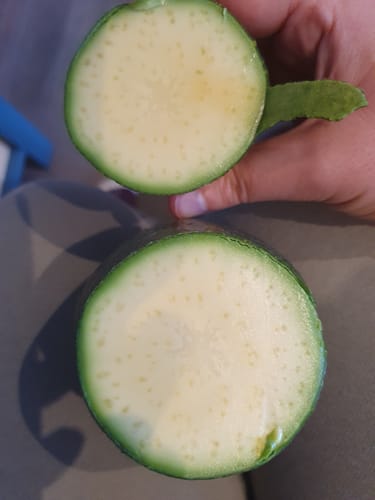 Customer photo review of Avocado Fuerte Bio von Andrea Sizilien