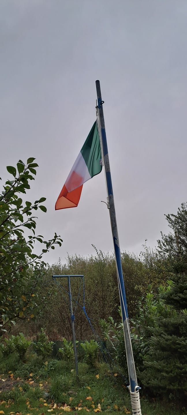 Customer photo review of Ireland National Flag