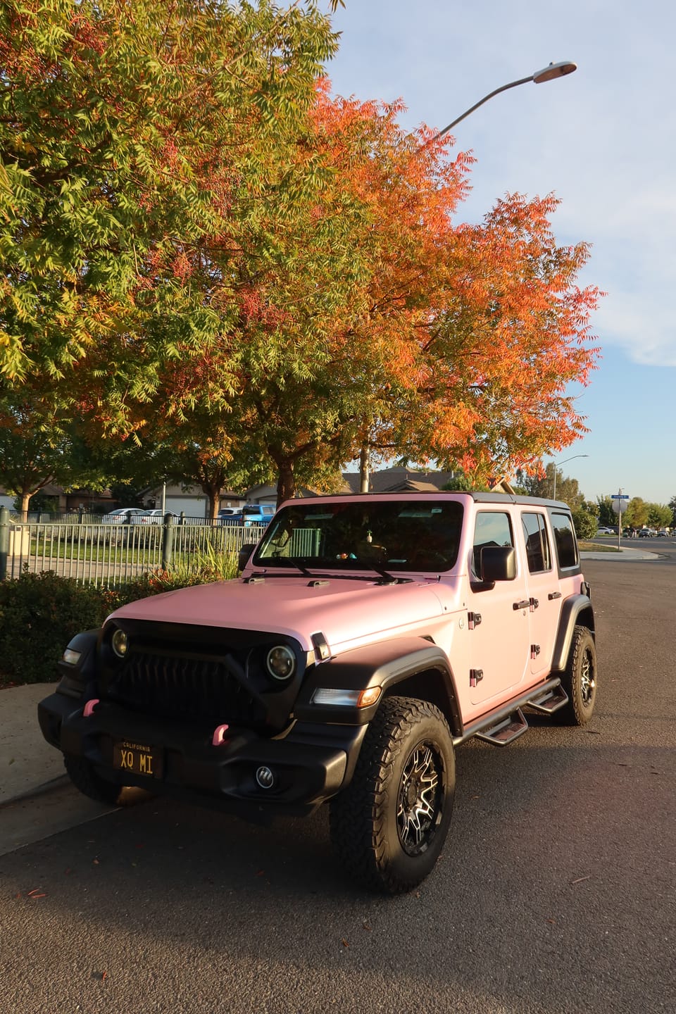 Customer photo review of Matte Metallic Pearl Baby Pink Vinyl Wrap