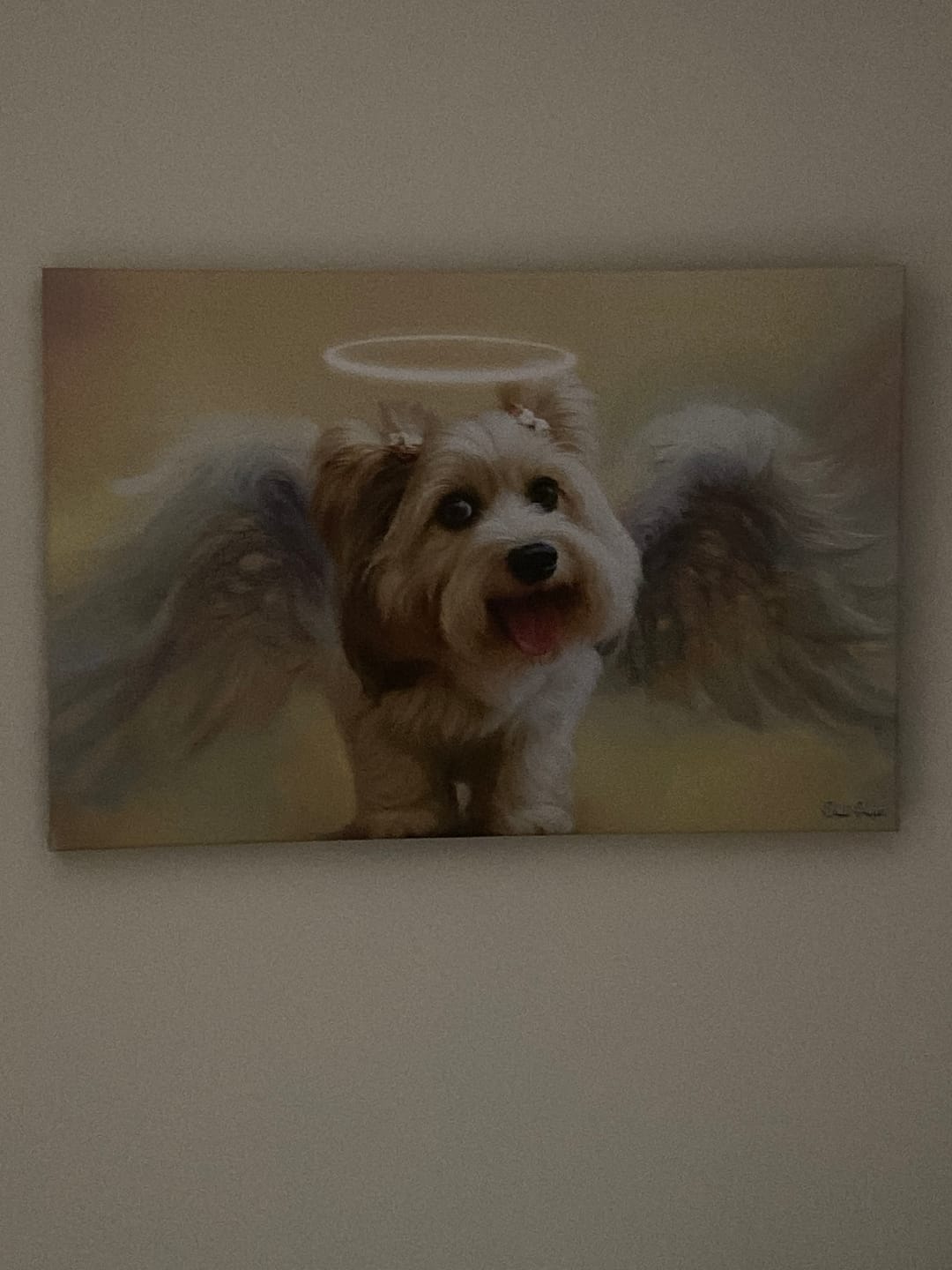 Customer photo review of The Angel