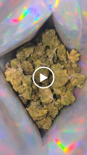 Customer video review of Shipping Protection by Route