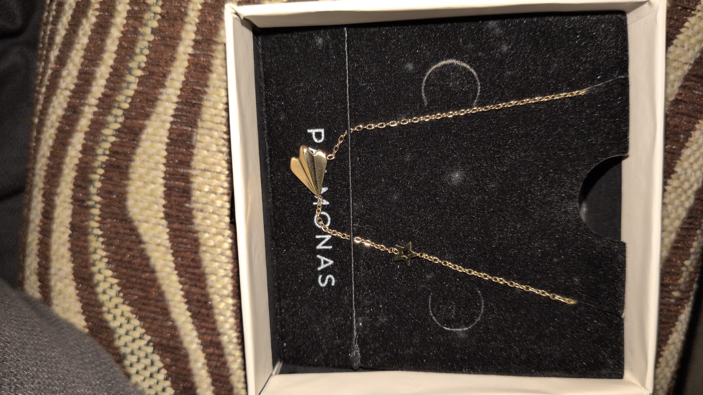Customer photo review of Simple Chain Necklace with Star Charm