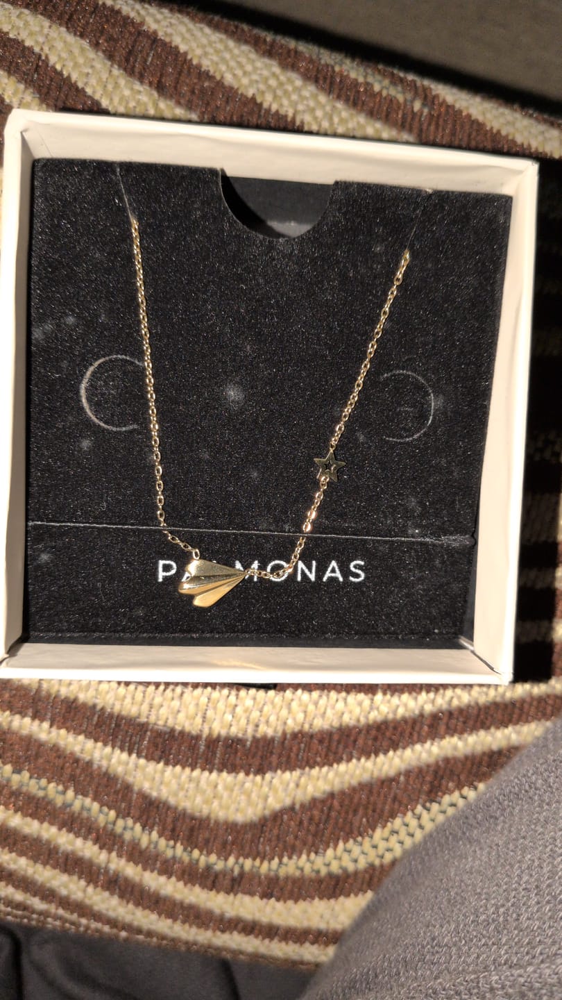 Customer photo review of Simple Chain Necklace with Star Charm