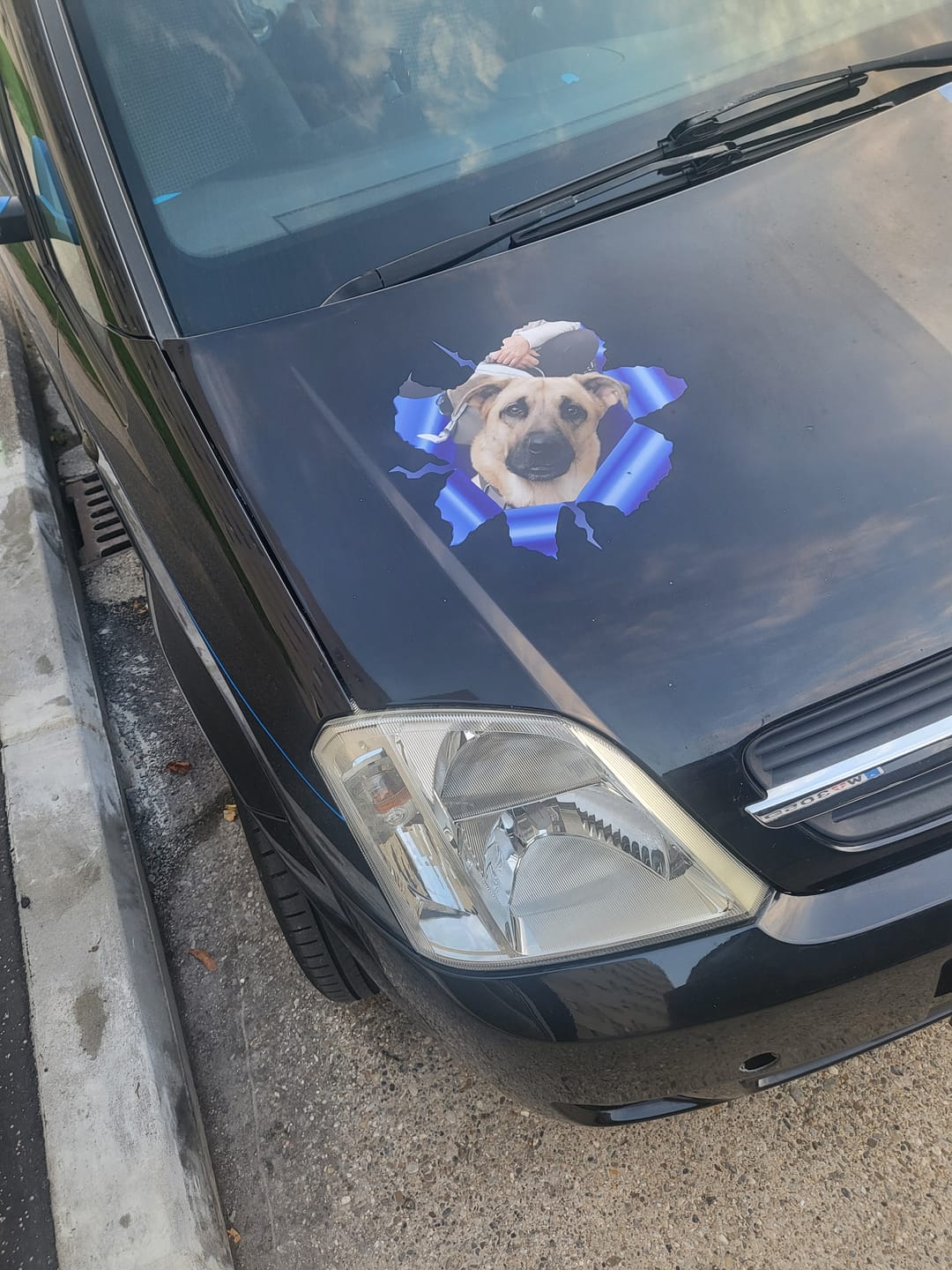 Customer photo review of Spähendes Foto - Individueller Autoaufkleber
