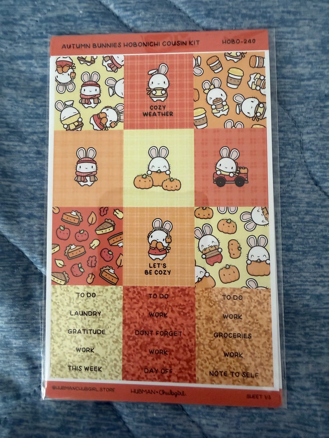 Customer photo review of Autumn Bunnies Theme Hobonichi Cousin Weekly Kit (Set of 3)