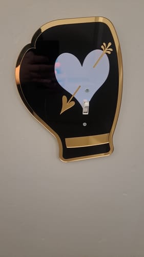 Customer photo review of Below the Belt Light Switch Cover