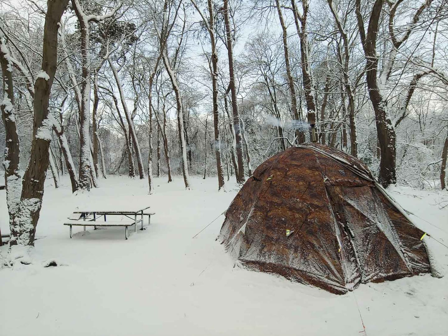 Customer photo review of RBM All-Seasons tent  UP-5 for 2-6 person