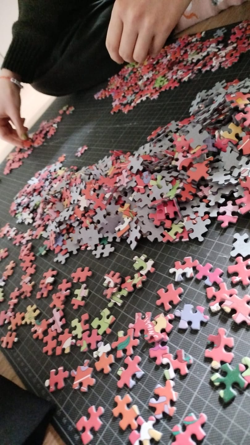 Customer photo review of Zyklus Puzzle